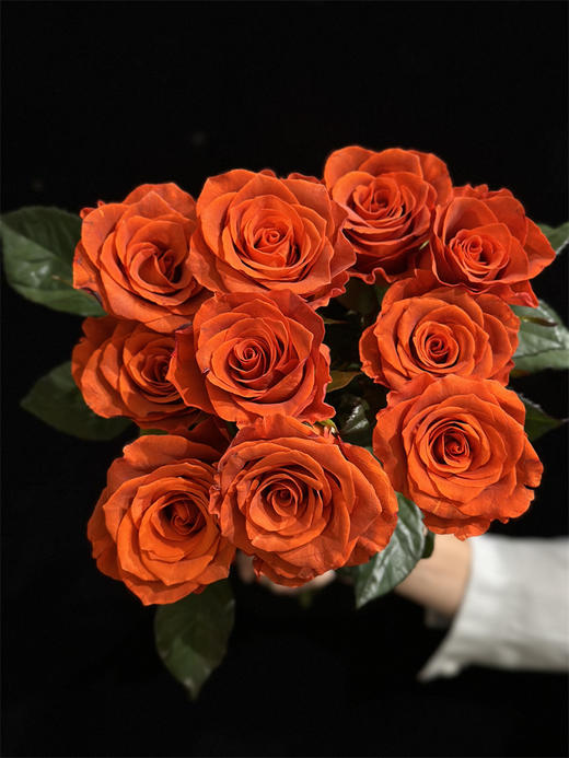 国产单头杏仁酒玫瑰10支 商品图2