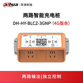 双路智能充电控制器DH-HY-BLCZ-3GNP（4G版）