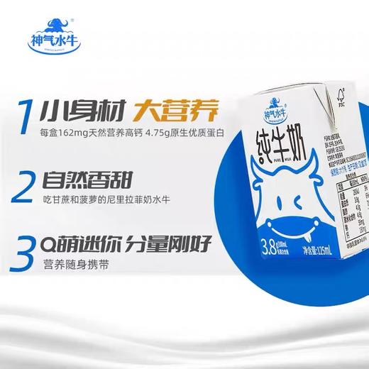神气水牛纯牛奶(康美包)(125mlX16)礼盒版 商品图1