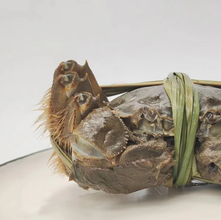 阳澄湖大闸蟹