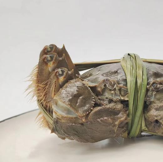 阳澄湖大闸蟹 商品图0