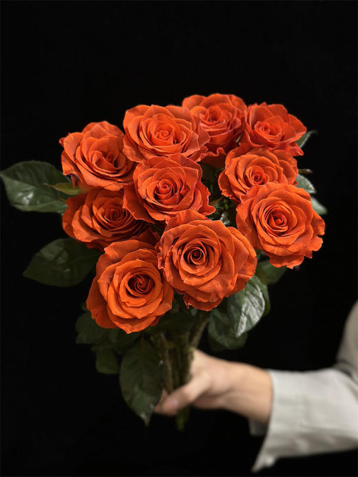 国产单头杏仁酒玫瑰10支 商品图1