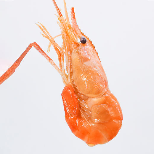 【清水罗氏虾  限时特价】新孟河清水罗氏虾 750g/盒   31-35只/盒   肉质Q弹   液氮锁鲜   顺丰速运 商品图8