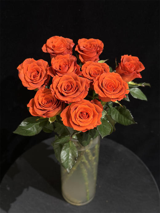 国产单头杏仁酒玫瑰10支 商品图3