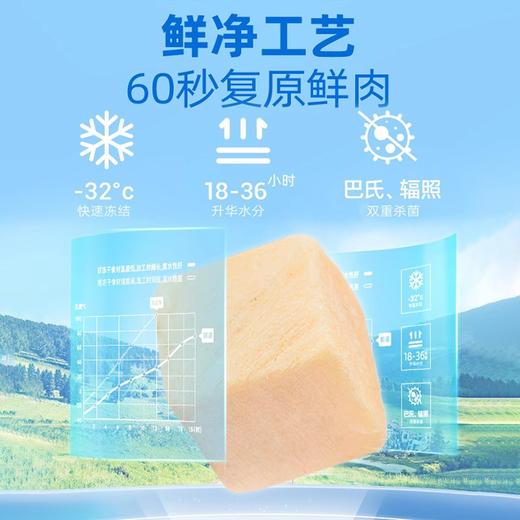 朗诺冻干猫咪零食鸡肉粒三文鱼鸭肉干成猫幼猫宠物零食营养纯肉干 商品图2