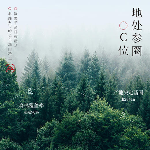 【冬季滋补】杞里香200g（2罐）礼盒装0.8-1.0cm西洋参5年黄金参龄礼盒礼盒礼品送礼 商品图6