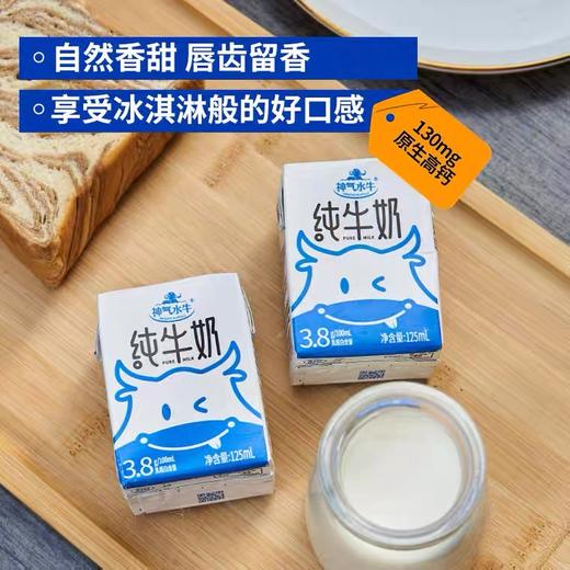神气水牛纯牛奶(康美包)(125mlX16)礼盒版 商品图0