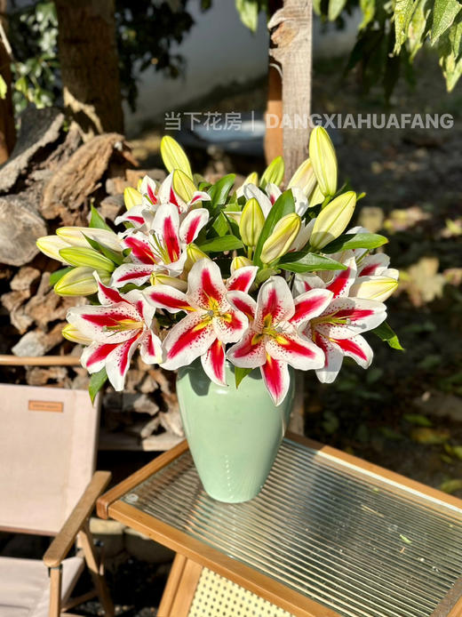 【笑脸香水百合】3头3支9朵/份 商品图1