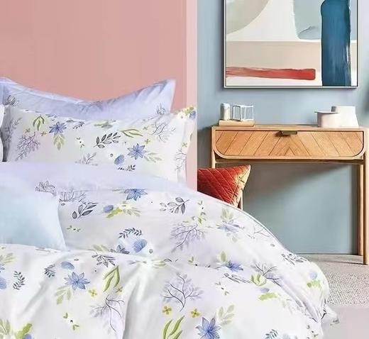 【恐龙厅】B7F丨  恐龙全棉四件套-春意 商品图4