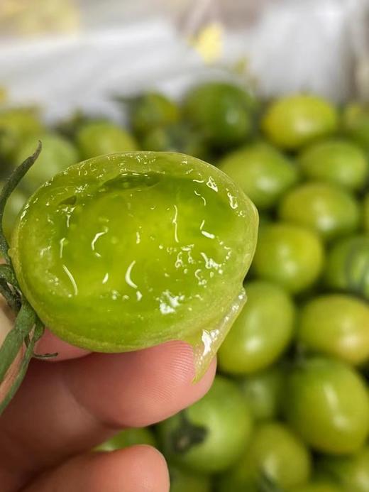 青霞小番茄＃听我的劝，一定要整个塞嘴里再嚼，真的会爆浆的！清爽干净，浓郁鲜甜，一口带瓤，回味那是无穷的鲜～ 商品图2