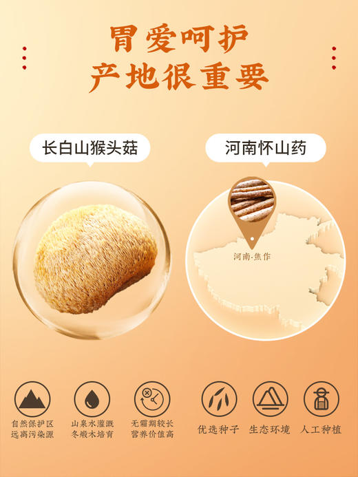 铁棍山药猴菇粉500g 营养早餐即食代餐食品冲调 胃暖暖的很舒服 真实材料 【固本堂】 商品图3