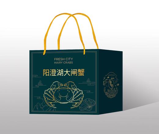 阳澄湖大闸蟹 商品图4