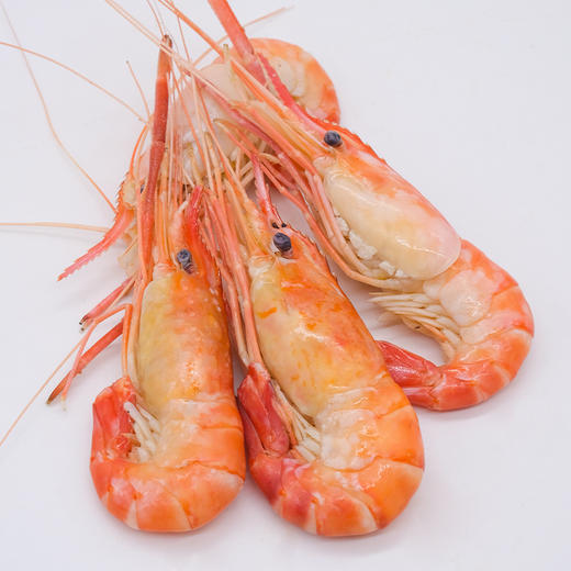 【清水罗氏虾  限时特价】新孟河清水罗氏虾 750g/盒   31-35只/盒   肉质Q弹   液氮锁鲜   顺丰速运 商品图4