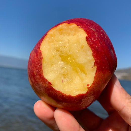 云南丽江玉龙雪山脚下的雪苹果 丑丑的外表  甜甜的内心 来自高原阳光的味道   口感清脆香甜  包邮发出 商品图4