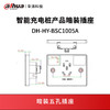 充电桩产品暗装插座DH-HY-BSC1005A 商品缩略图0