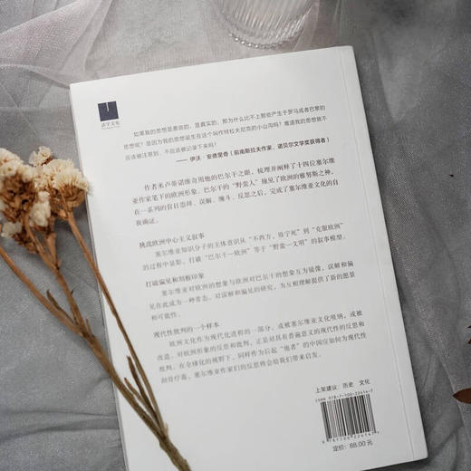 克服欧洲（文明的另一种声音） [塞尔维亚] 佐兰·米卢蒂诺维奇 著 彭裕超 译 商务印书馆 商品图7