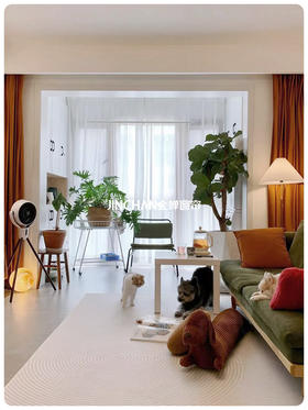 猫猫狗狗和干干净净并不矛盾吖～