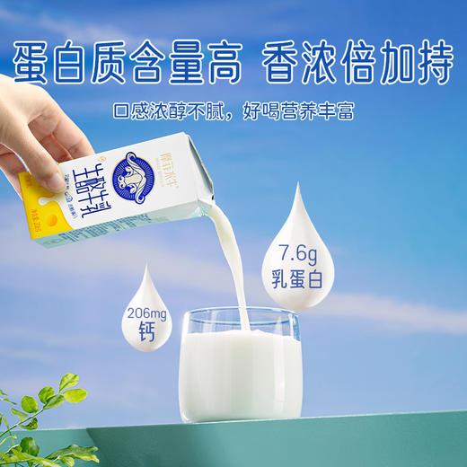 【摩菲水牛奶 生酪牛乳】源自大理，高原牧场，每盒含7.6g原生蛋白，入口酪香满满，口感浓郁满分 商品图1