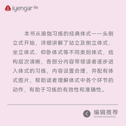 艾扬格lifeB1195 内在之美 内在之光 瑜伽书籍 艾扬格瑜伽、孕产瑜伽 商品图3