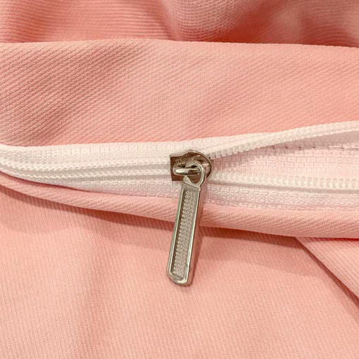 【自营】悠梦嘉居80双锦刺绣四件套2900g（多种款式可选） 商品图3