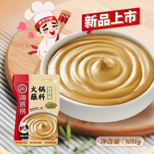 海底捞 火锅蘸料 多口味 商品图0