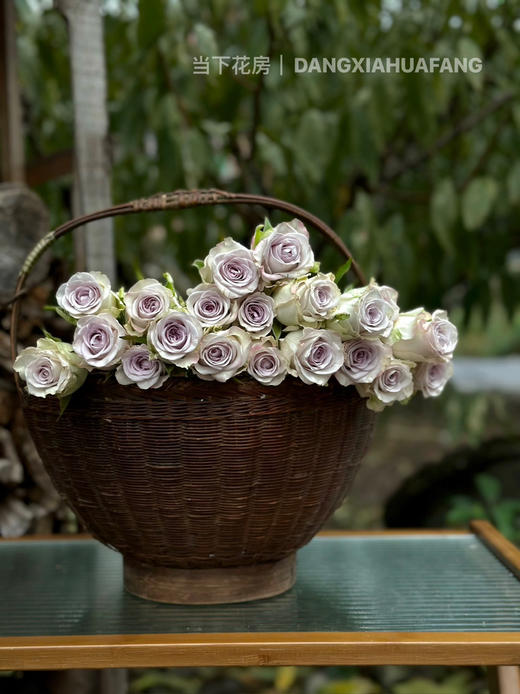 【海洋之心玫瑰】10支/份 长约55cm 采用无土栽培技术培育 商品图13