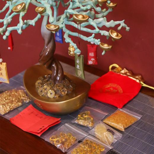 进财许愿树 发财树 商品图6