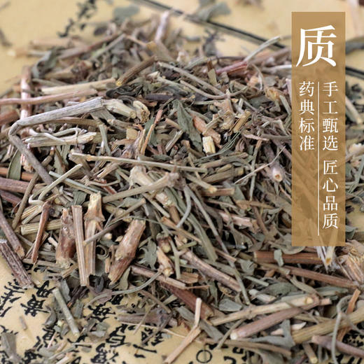 透骨草 康美中药饮片 独立小包装 10g起 商品图4
