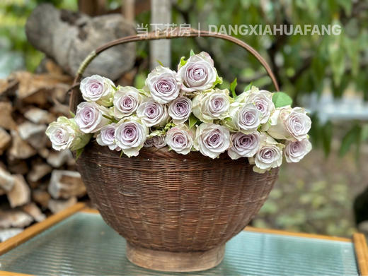 【海洋之心玫瑰】10支/份 长约55cm 采用无土栽培技术培育 商品图7