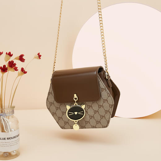 Safiya/索菲娅2023新款链条包时尚女士单肩斜挎女包 SF9161026Y 商品图2