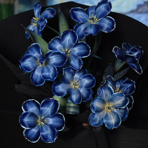 《星空》墨尔本午夜蓝郁金香 商品图2
