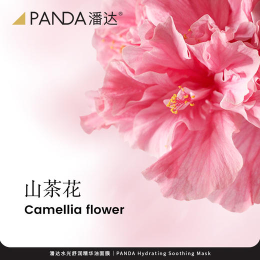 【100%全返❗任选5盒加购物车】潘达山茶花双抗精华油面膜抗皱紧致舒缓修护补水保湿 商品图4