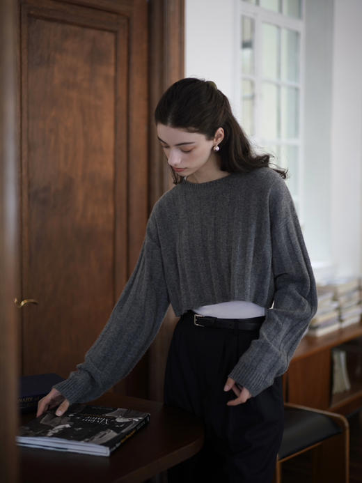 Thunder Cropped Jumper 商品图8