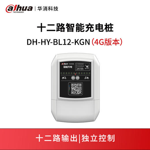 十二路智能充电控制器DH-HY-BL12-KGN（4G） 商品图0