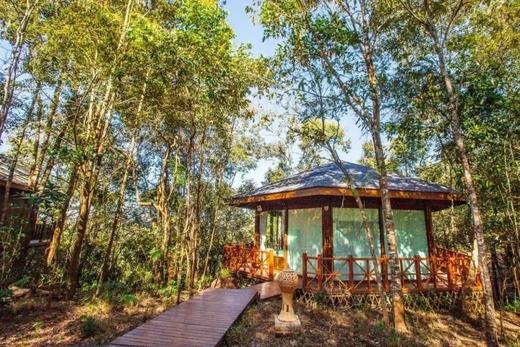 寒假仅余3期有位！速抢【2026寒假 | 奢玩西双版纳亲子6天5晚】4晚洲际+1晚小熊猫庄园，光酒店都值！动植物专家伴游讲解，五星好评爆款！过「高奢」版向往生活！ 商品图6