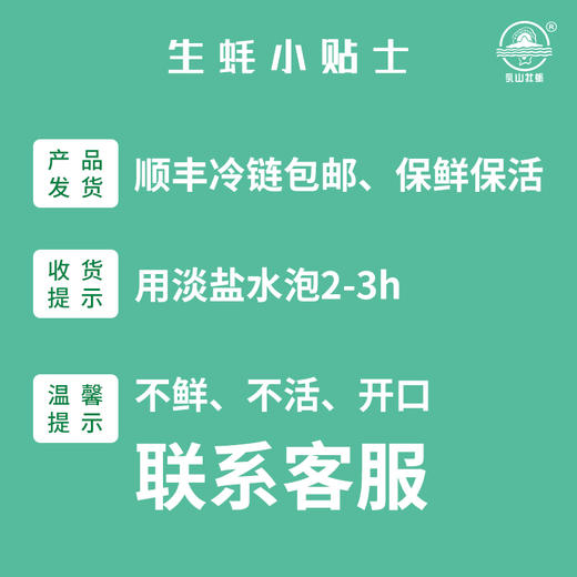 农发出品 鲜活乳山生蚝 5斤装 商品图5