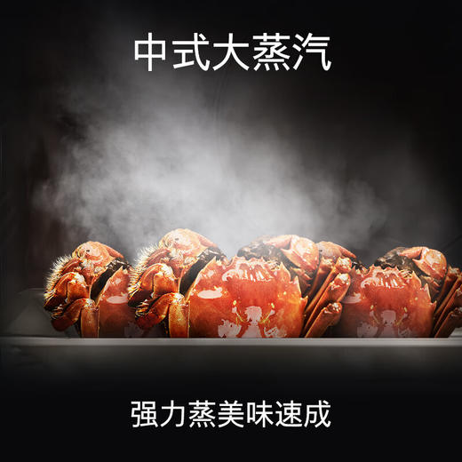 西门子/蒸箱/CD589ABS0W/45升嵌入式蒸箱 亚沸锁鲜蒸 1°C精准控温 30种自动烹饪程序 商品图4