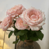 肯尼亚进口玫瑰花JOYCE乔伊斯12支 商品缩略图5