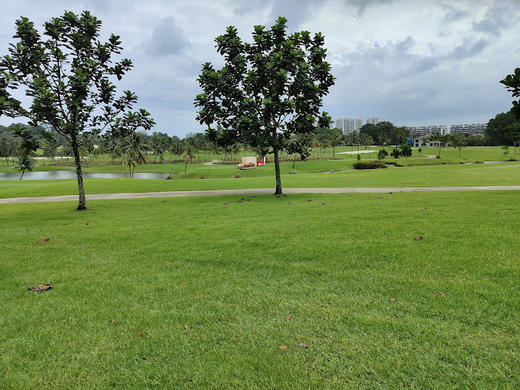 新加坡圣淘沙高尔夫俱乐部新丹戎球场 Sentosa Golf Club New Tanjong Course | 新加坡高尔夫球场 俱乐部 商品图2
