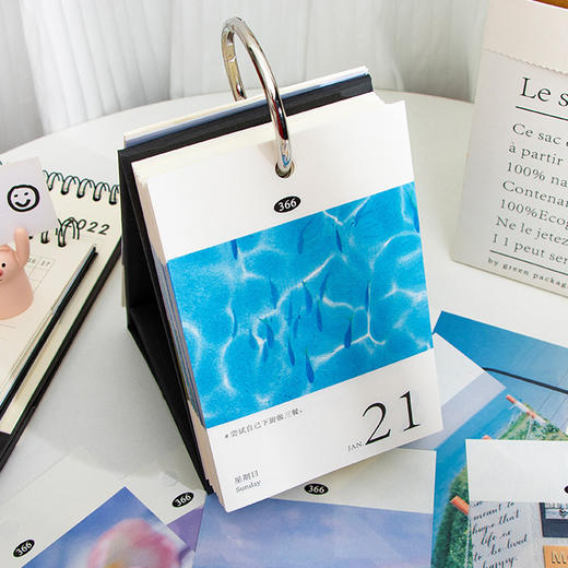 【日日是好日❗️年INS治愈日历】细腻精致的INS风文艺桌面摆件，蛇年新款打卡台历高颜值桌面摆件日历 商品图1