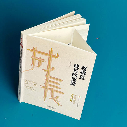 看得见成长的课堂 大夏书系 语文之道 著名特级教师黄厚江力作 商品图6