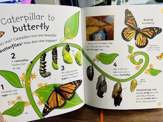 💥重磅新书开抢！！必须拿下DK《My Encyclopedia of of very important things》英文原版&点读版👏全新上市 商品图7