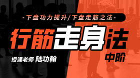 【身法步专训】2—行筋走身法 训练营