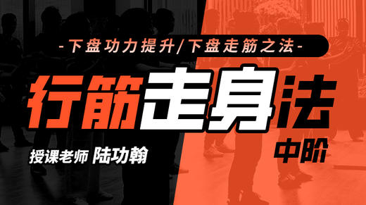 【身法步专训】2—行筋走身法 训练营 商品图0