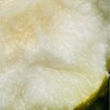 玉露香梨| 梨中之魁首🍐玉贵香梨.秋贵妃～～ 目前少有的鲜梨，集合了香梨、秋月、翠玉所有梨的优点，果肉呈蜂蜜色，肉质酥嫩，水润香甜，咬一口一汪蜜汁酥到化了，蜂蜜般的甜，吃完满口香气 商品缩略图1