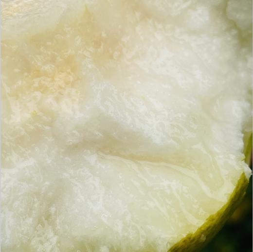 玉露香梨| 梨中之魁首🍐玉贵香梨.秋贵妃～～ 目前少有的鲜梨，集合了香梨、秋月、翠玉所有梨的优点，果肉呈蜂蜜色，肉质酥嫩，水润香甜，咬一口一汪蜜汁酥到化了，蜂蜜般的甜，吃完满口香气 商品图1