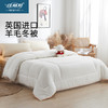 佳丽斯英国进口抗菌羊毛暖暖冬被加厚保暖 商品缩略图0
