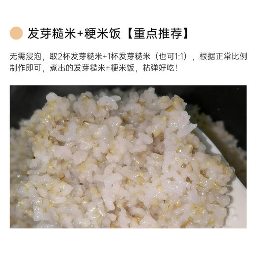 【积分兑换】 | 阿福视界发芽糙米，自带胚芽，东北粗粮富含γ氨基丁酸 免泡糙米 商品图14