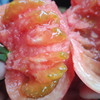 甄源|主推|山东海阳普罗旺斯西红柿4.5-5斤单果2.5两以上约10-16个 商品缩略图4