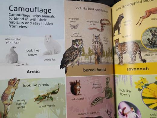 💥正版爆款入手！！《DK.1000Animal Words》原版英文引进DK热门好书！！还支持小蝌蚪小达人点读👍😍超精美插图+DK智慧树排版 商品图9